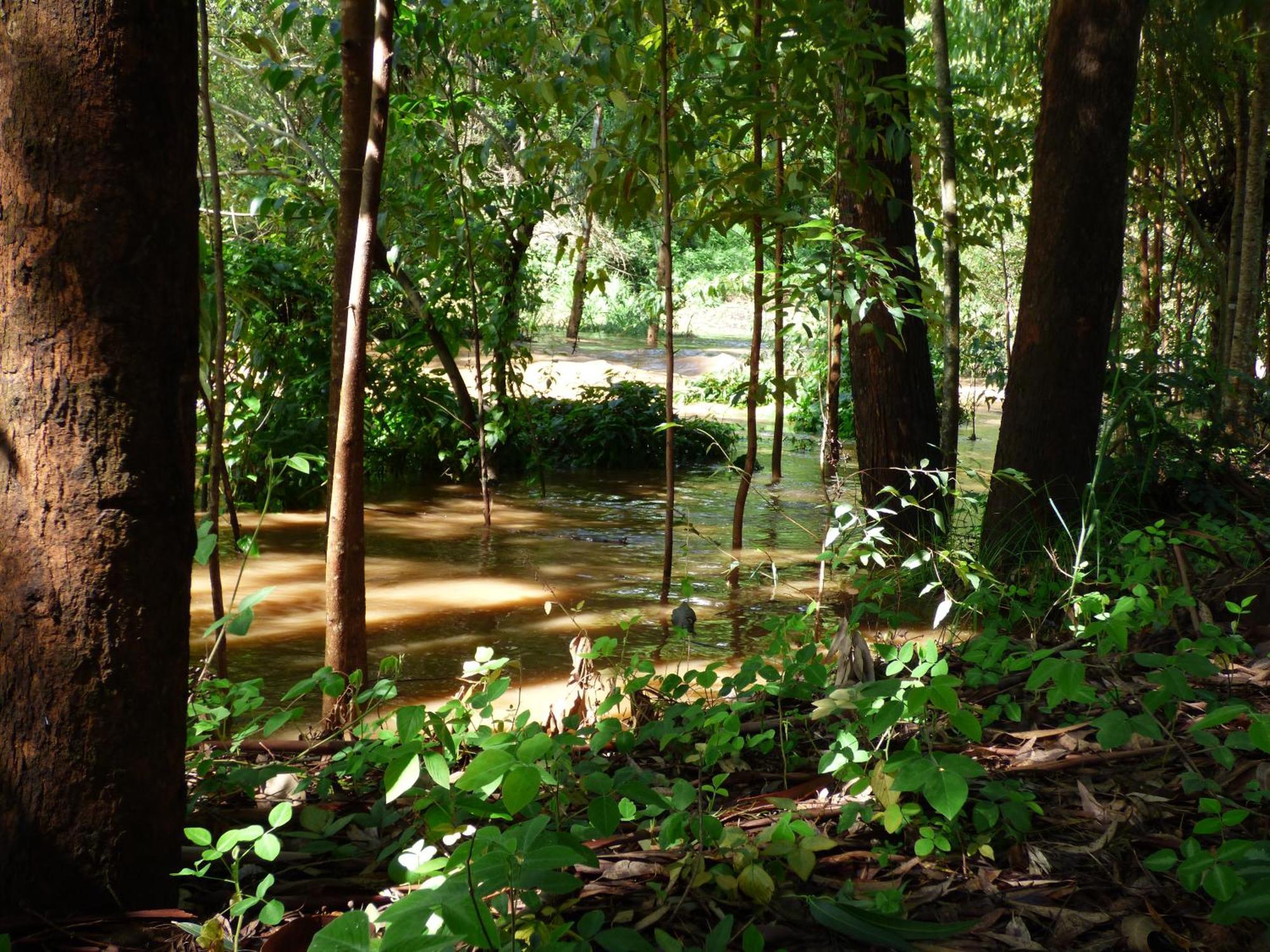 Le Pristine Wellness And Healing Hotel เนย์รี ภายนอก รูปภาพ